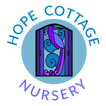 Hope Street Nursery, Clerk Street, Dalkeith Road, Edinburgh
