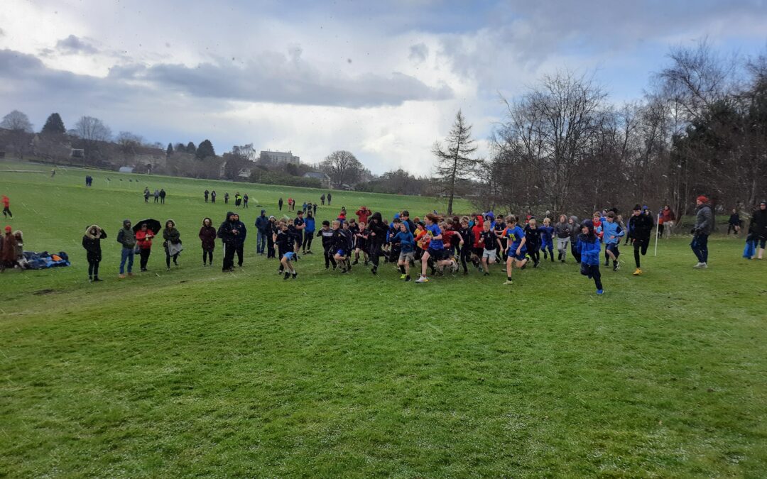 Cross Country League success