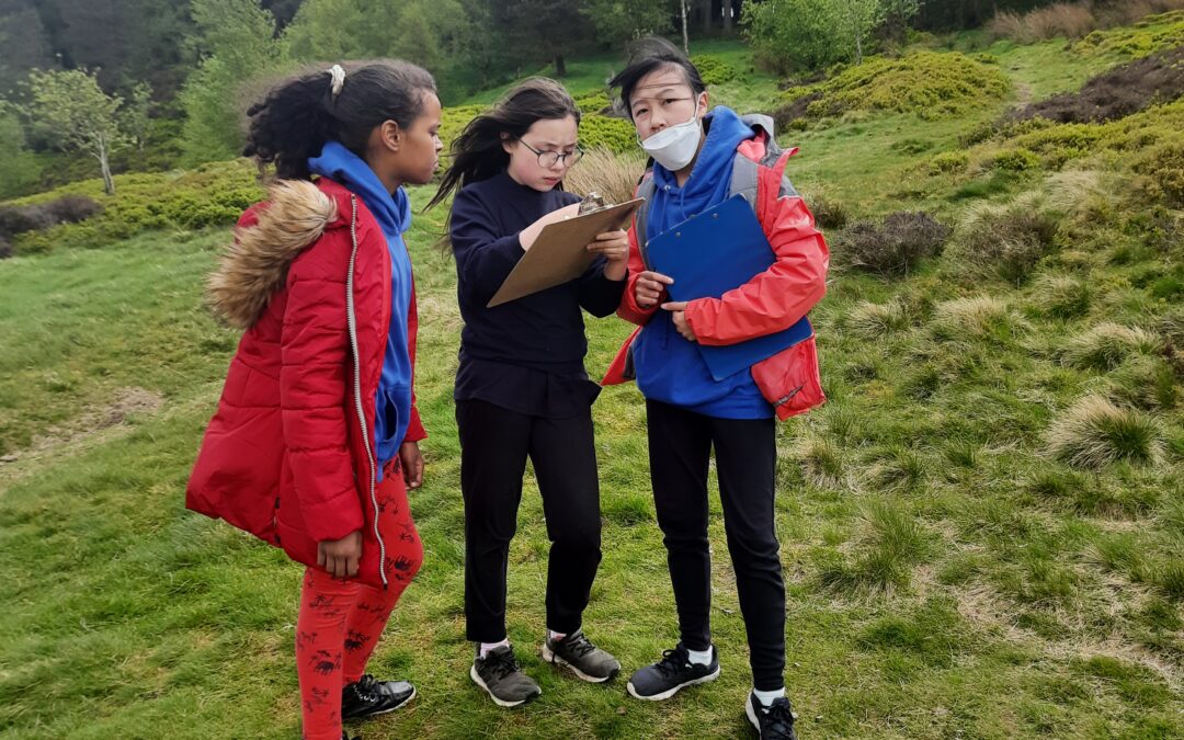 P7 Orienteering at Bonaly